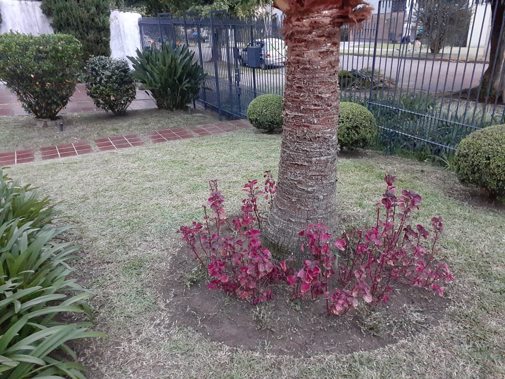Manutenção 16