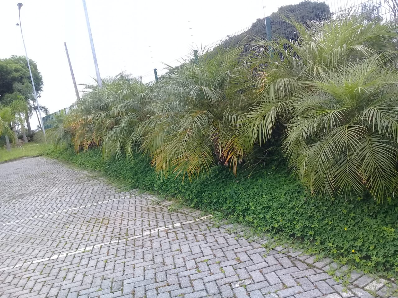 Manutenção 2