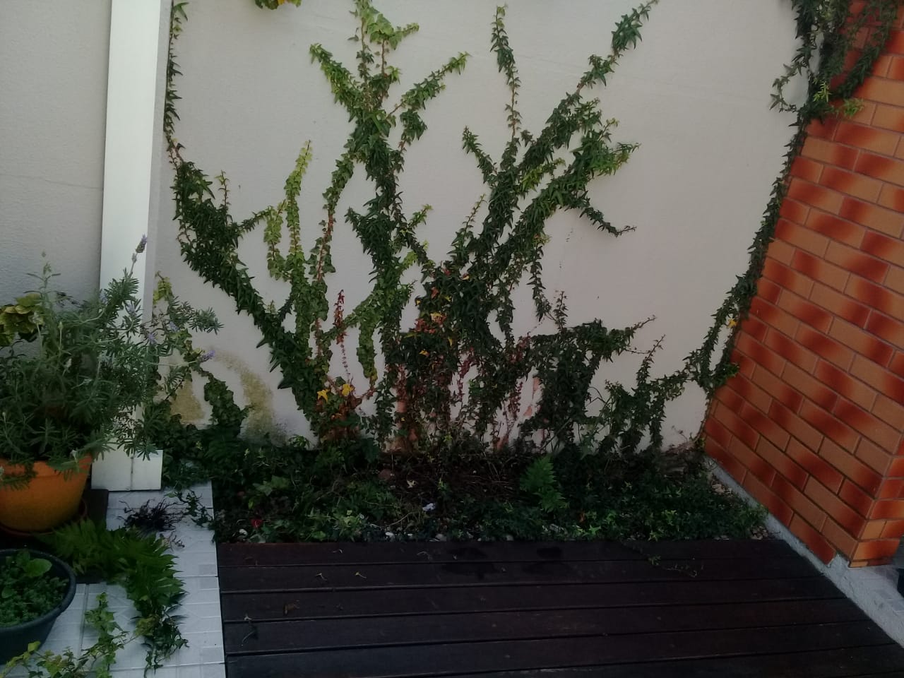 Projeto 6