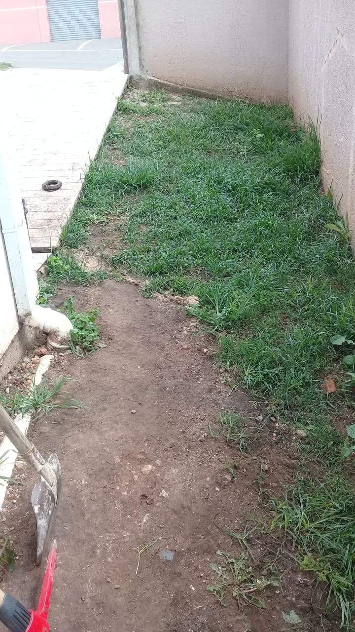 Revitalização 1